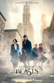 Fantastic Beasts and Where to Find Them poster