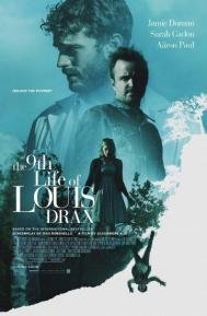 The 9th Life of Louis Drax poster