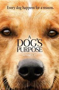 A Dog's Purpose poster