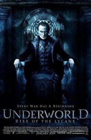 Underworld: Rise of the Lycans poster