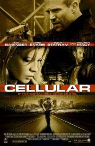 Cellular poster