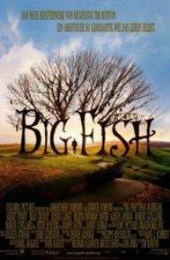 Big Fish poster