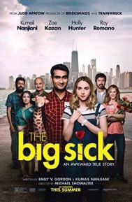 The Big Sick poster