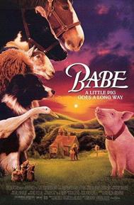 Babe poster