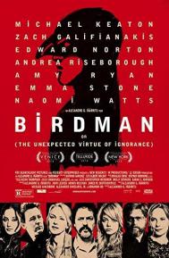 Birdman poster