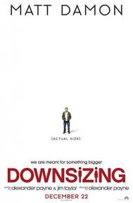 Downsizing poster