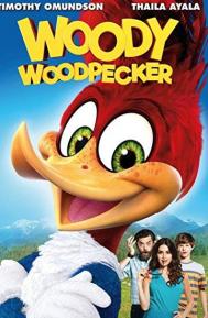 Woody Woodpecker poster