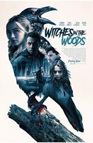 Witches in the Woods poster