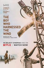 The Boy Who Harnessed the Wind poster