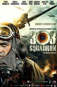 Squadron 303 poster