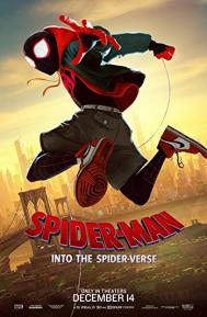 Spider-Man: Into the Spider-Verse poster