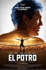 El Potro, lo mejor del amor poster