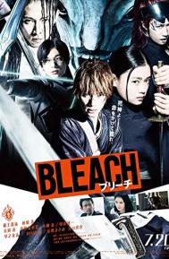 Bleach poster