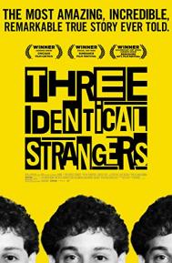 Three Identical Strangers poster