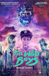 The Wild Boys poster