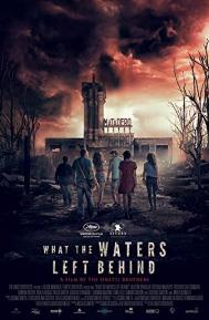 What the Waters Left Behind poster