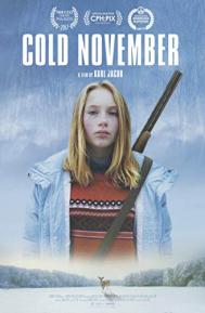 Cold November poster