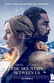 The Mountain Between Us poster