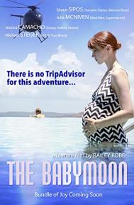 The Babymoon poster