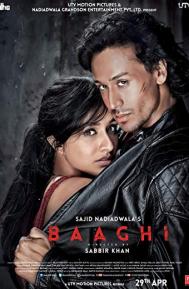 Baaghi poster