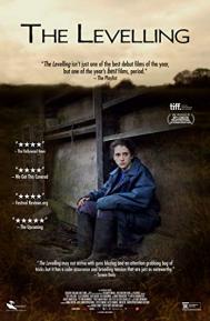 The Levelling poster