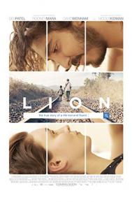 Lion poster