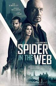 Spider in the Web poster