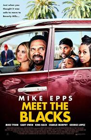 Meet the Blacks poster