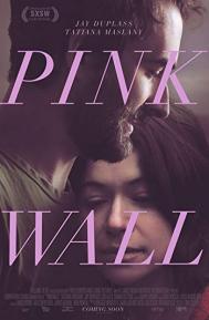 Pink Wall poster