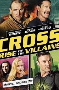 Cross 3 poster