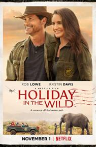 Holiday in the Wild poster