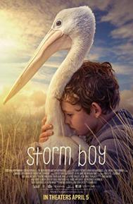 Storm Boy poster