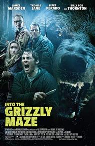 Into the Grizzly Maze poster