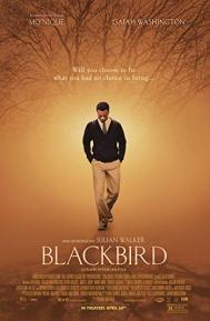 Blackbird poster