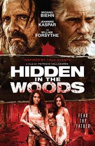 Hidden in the Woods poster