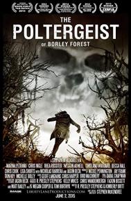 The Poltergeist of Borley Forest poster