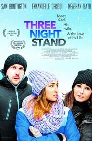 Three Night Stand poster