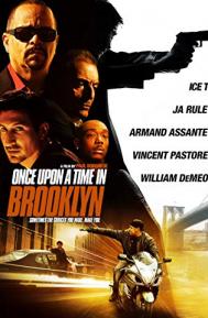 Once Upon a Time in Brooklyn poster