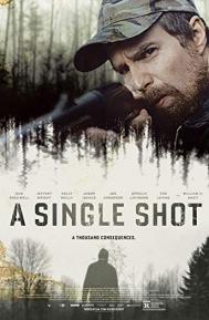 A Single Shot poster