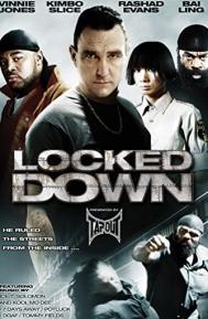 Locked Down poster