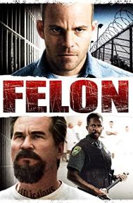 Felon poster