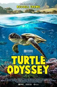 Turtle Odyssey poster