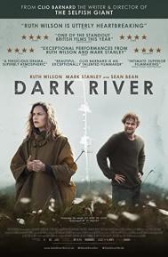 Dark River poster