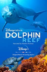 Dolphin Reef poster