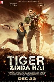 Tiger Zinda Hai poster