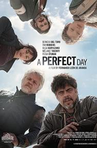 A Perfect Day poster