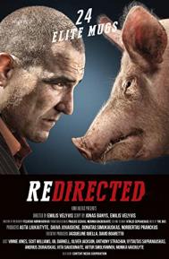 Redirected poster