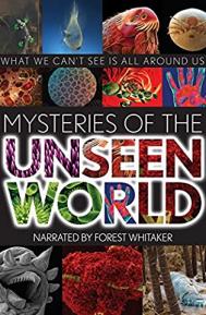 Mysteries of the Unseen World poster