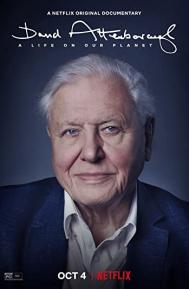 David Attenborough: A Life on Our Planet poster