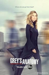 Greys Anatomy Season 14 poster